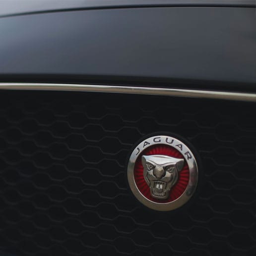 Box Image 1 - Jaguar