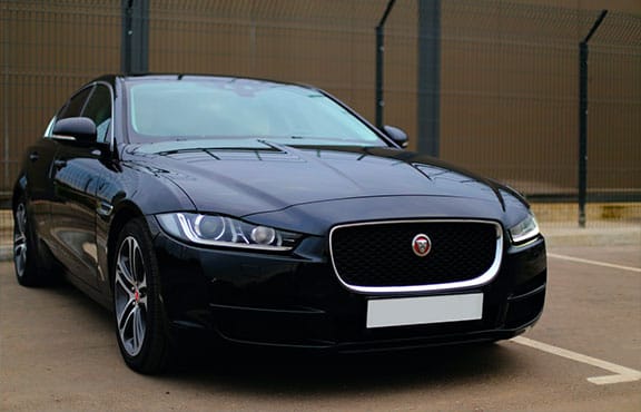 Stripe Image - Jaguar